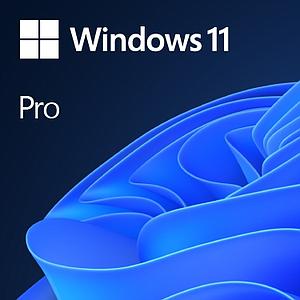 MS Windows 11 Pro 64 bit DVD OEM UK