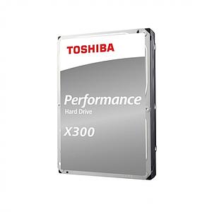 X300 Performance 10TB 3.5" SATA 6GB/s / 7200rpm / 256MB / 34dba idle / R/W 7.22W (active idle) / Advanced Format-Technologie
