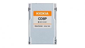 X121 CD8P-R dSSD 30.7TB U.2 PCIe SIE