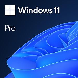 MS Windows 11 Pro 64 bit DVD OEM NL